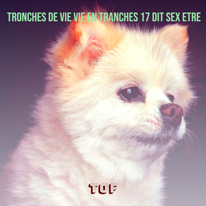 Contre poète mes potes