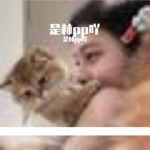 操场上自由奔跑的灵魂之歌