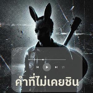 คำที่ไม่เคยชิน