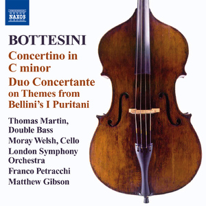 Elegy No. 1 in D Major (arr. for double bass and orchestra)