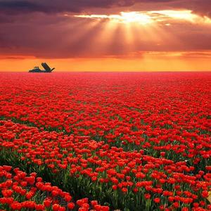 即使有天开个唱 谁又要唱