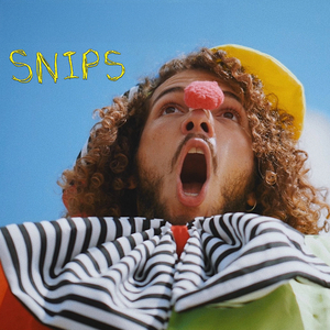 Snips