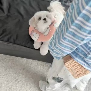 累了
