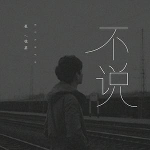 不说 (和声伴奏)