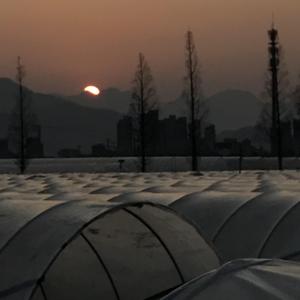 白日梦中梦（prod by CDY）