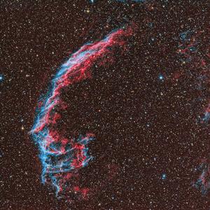 The Flow of Pink Noise