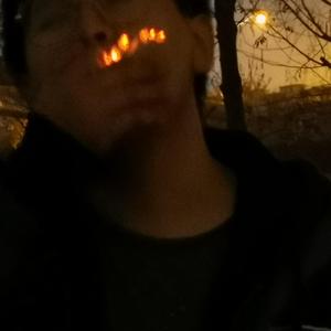 我唱着影子的歌