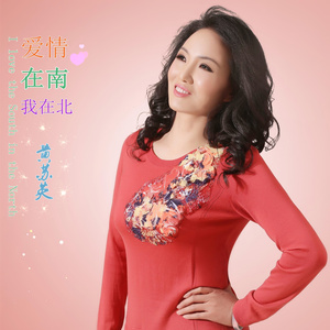 爱情在南我在北(伴奏)