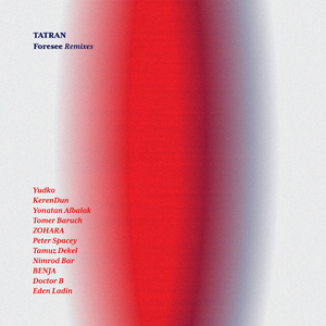 Foresee (Tomer Baruch Remix)