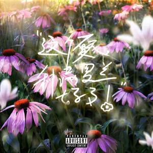 这个夏天，种满罗兰好了