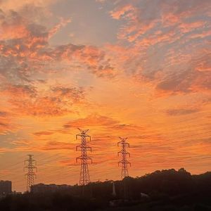 庭前花落忆往事