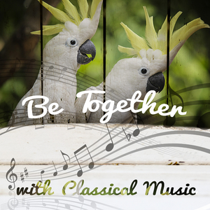 Musicalisches Opfer, BWV 1079: VIII. Ricercare a 6 (Harp Version)