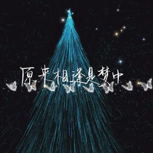 原来相逢是梦中