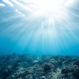 Down↓(prod.Scorpion)