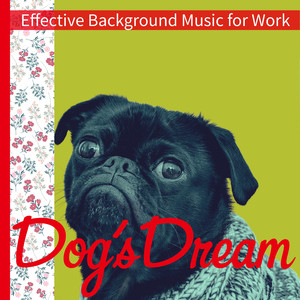 Restorative Peace of Night