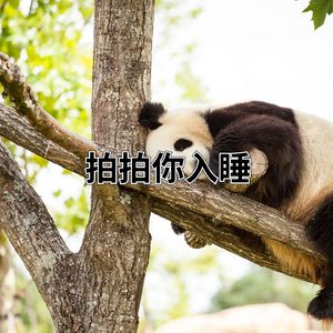拍拍你入睡