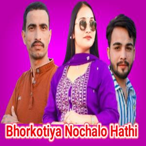 Bhorkotiya Nochalo Hathi (feat. Bishan Ghanaik. Virendra official)