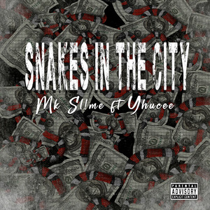 Snakes in the City