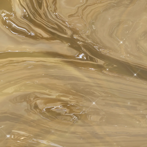 蜜蜂（翻自 万玲琳）