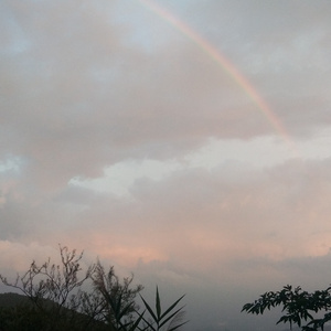 像鸡肋一样索然无味