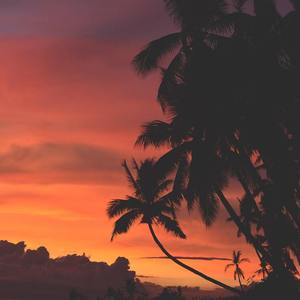 落日森林prod.byEVO