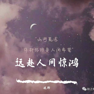 晚夜微雨问海棠（翻自 镜予歌）