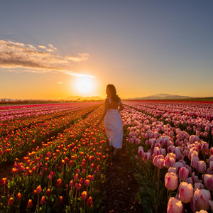 Sesión Diaria De Calma