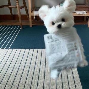 最美好的时光（陈娴静）