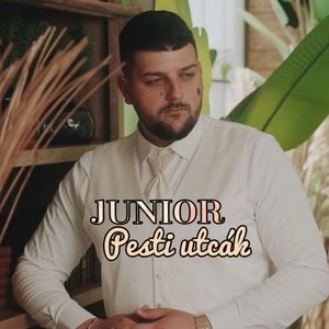 Pesti utcák