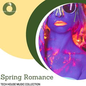 Toxic Nectar (EDM Festival Tech House)