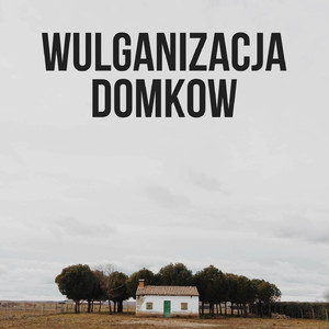 Wulganizacja Domkow