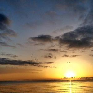 我的心可否给我分成两份