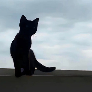 你