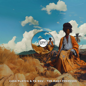 Too many Promises (Original Mix)