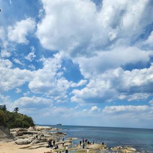 '자유를 향해 날꺼야'