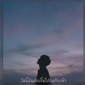 วันนี้ฉันมองขึ้นไปบนท้องฟ้า