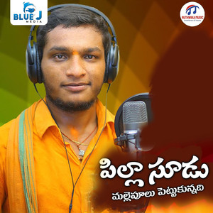 Pilla Sudu Mallepulu Pettukunnadi