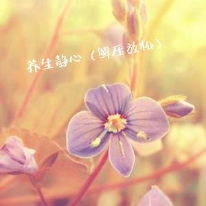 养生静心（解压放松）