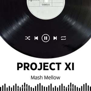 Project XI