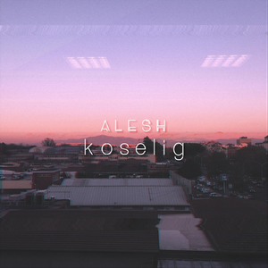 Koselig