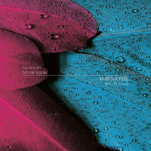 WANNA FEEL (feat. DJ Sweep)