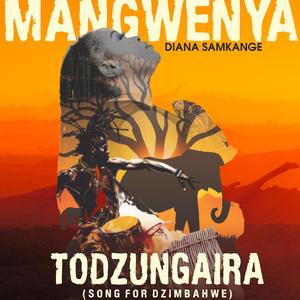 Todzungaira(Song for Dzimbahwe)mp3