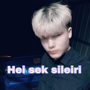 Hei sek sileiri