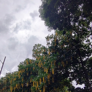 Arrependimento e Reavivamento