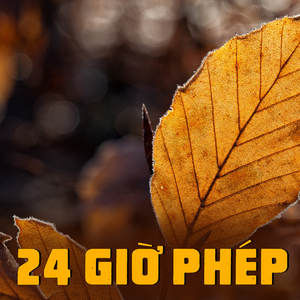 Tiếng Rao Ngày Cũ