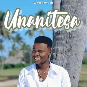 Unanitesa