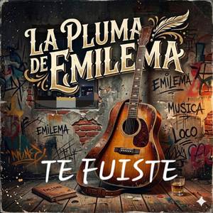TE FUISTE