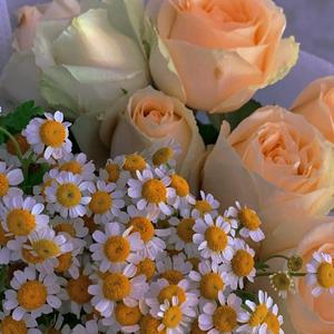 春天（正式版）