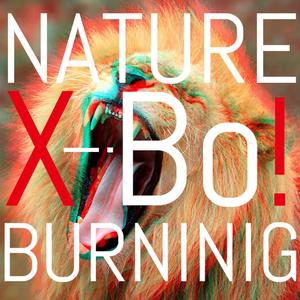 NATURE BURNING(PROD BY ZS Beatz)