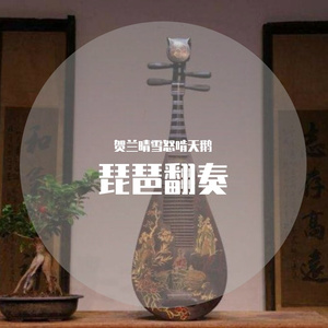 出埃及记-琵琶激昂版